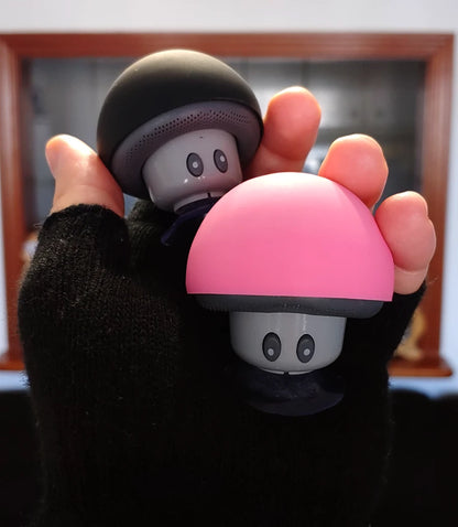 Mini Bluetooth Speaker