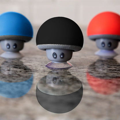 Mini Bluetooth Speaker